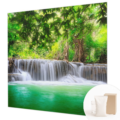 Photo wall mural Forest waterfall