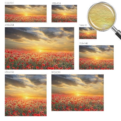 Bedroom wall mural wallpaper Poppy field