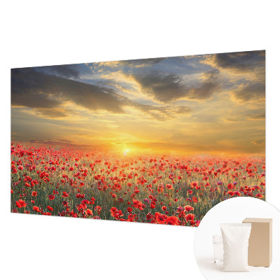 Bedroom wall mural wallpaper Poppy field