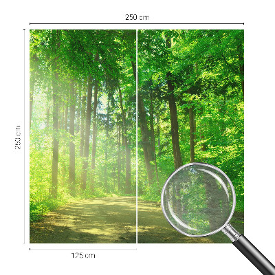 Large wall mural Forest path