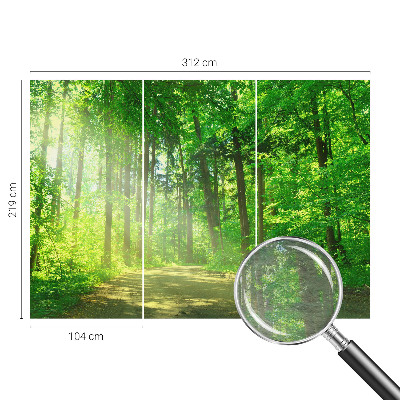 Large wall mural Forest path