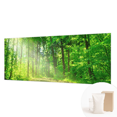 Large wall mural Forest path