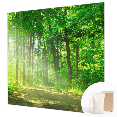 Large wall mural Forest path