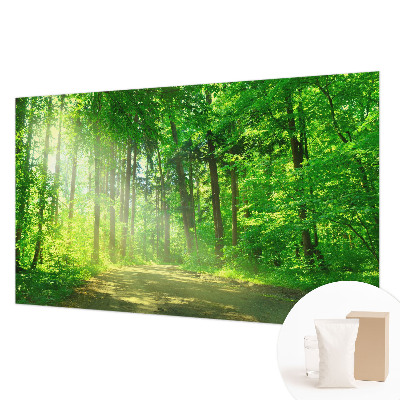 Large wall mural Forest path