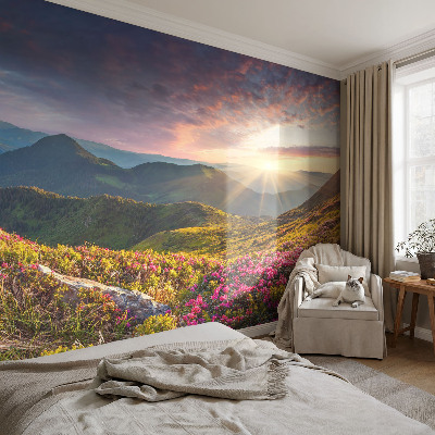 Large wallpaper mural Mountain panorama