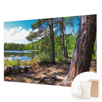 Modern wall mural for living room Forest landscape