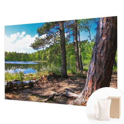 Modern wall mural for living room Forest landscape