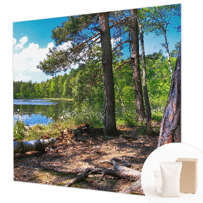 Modern wall mural for living room Forest landscape