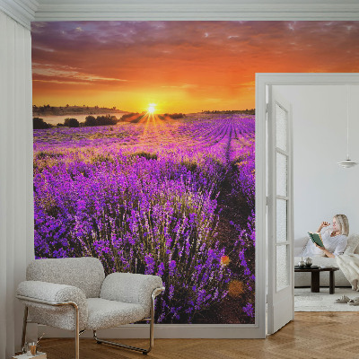Wallpaper mural for living room Lavender Sunset