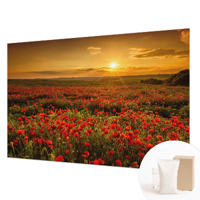 High quality wall mural wallpaper Poppy field