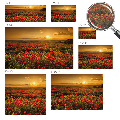 High quality wall mural wallpaper Poppy field