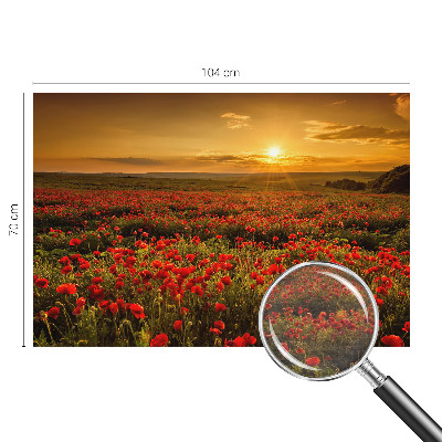 High quality wall mural wallpaper Poppy field