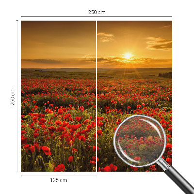 High quality wall mural wallpaper Poppy field