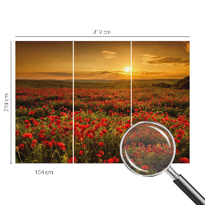 High quality wall mural wallpaper Poppy field