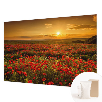 High quality wall mural wallpaper Poppy field