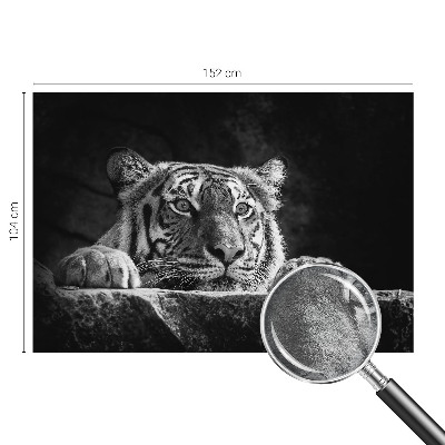 Modern wall mural Predatory look