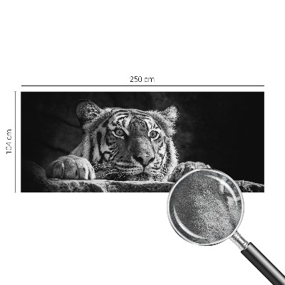 Modern wall mural Predatory look