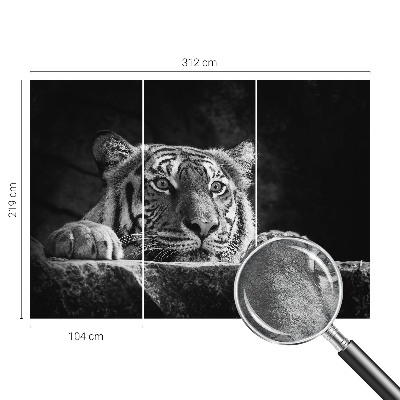 Modern wall mural Predatory look