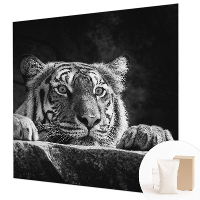Modern wall mural Predatory look