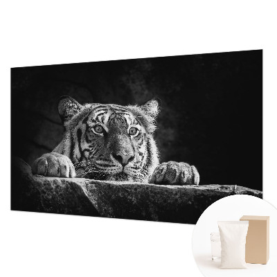 Modern wall mural Predatory look