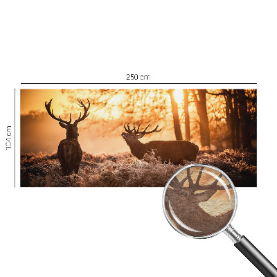 High quality photo wallpaper Deer in the morning