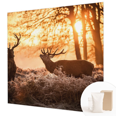 High quality photo wallpaper Deer in the morning