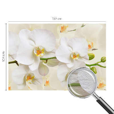 Photo wallpaper Floral wealth