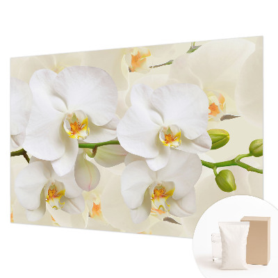 Photo wallpaper Floral wealth