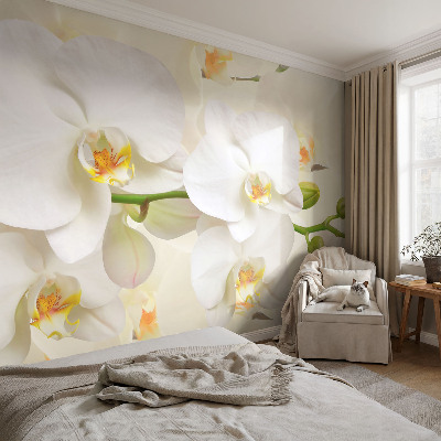 Photo wallpaper Floral wealth