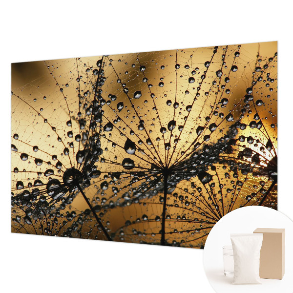 Photo wall mural Delicate drops