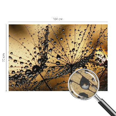 Photo wall mural Delicate drops