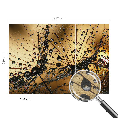 Photo wall mural Delicate drops