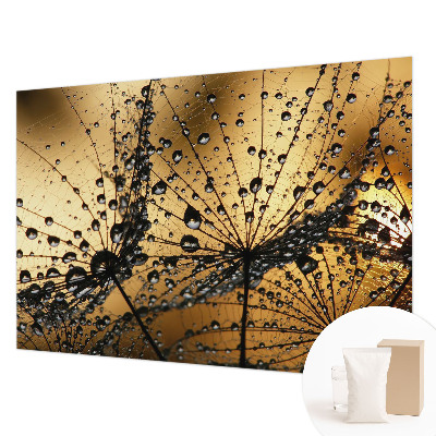 Photo wall mural Delicate drops