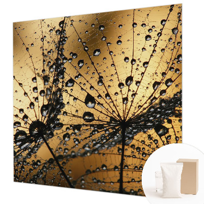 Photo wall mural Delicate drops