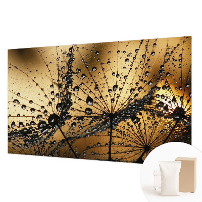 Photo wall mural Delicate drops