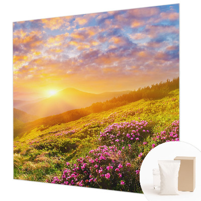 Large wallpaper mural Mountain West