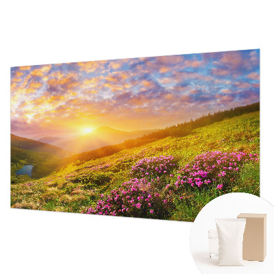Large wallpaper mural Mountain West