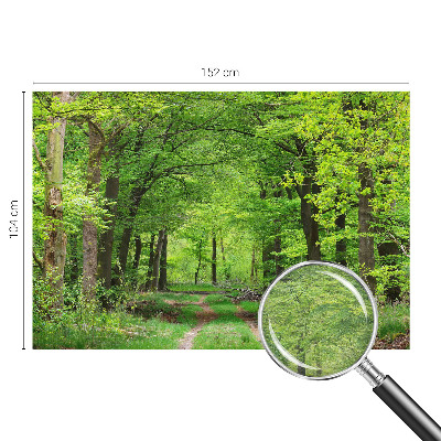 Large wall mural wallpaper Forest path