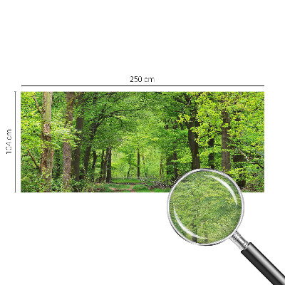 Large wall mural wallpaper Forest path