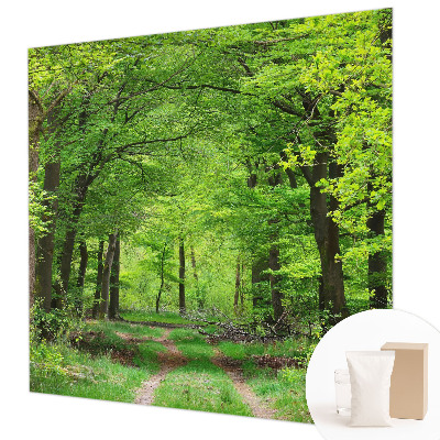 Large wall mural wallpaper Forest path
