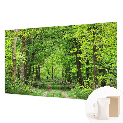 Large wall mural wallpaper Forest path
