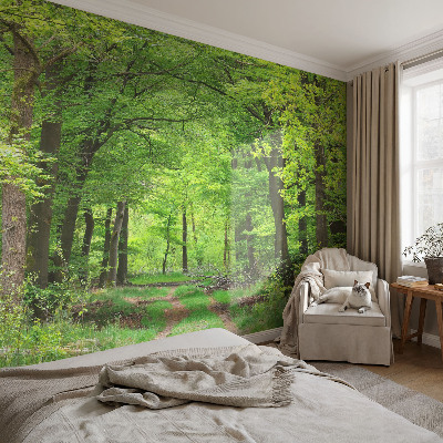 Large wall mural wallpaper Forest path