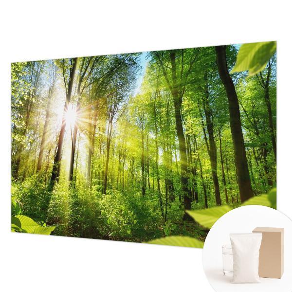 Custom size wall mural Forest light