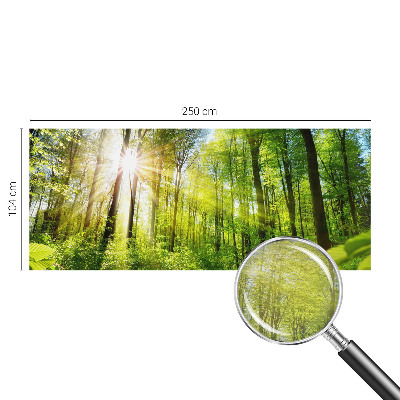 Custom size wall mural Forest light