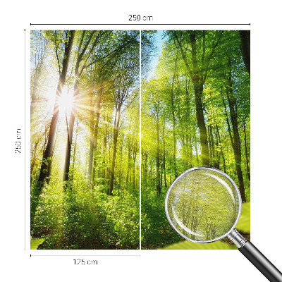 Custom size wall mural Forest light