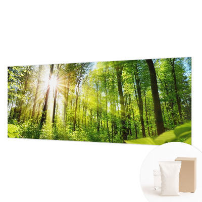 Custom size wall mural Forest light