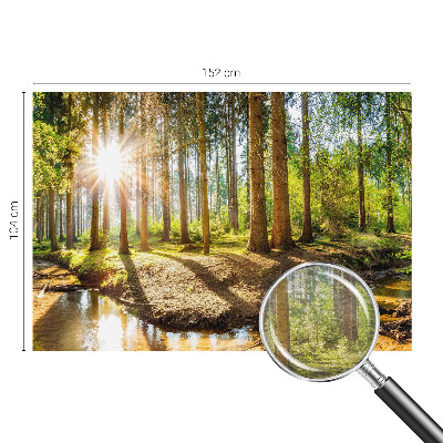 Modern wall mural for bedroom Forest idyll