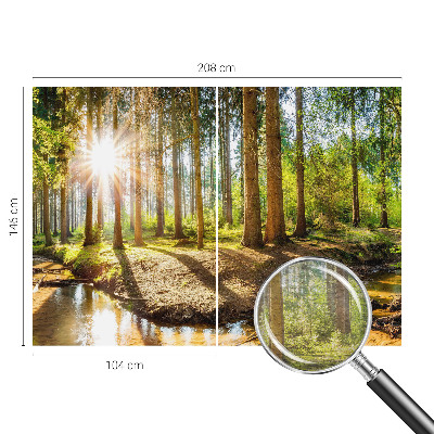 Modern wall mural for bedroom Forest idyll
