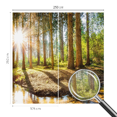 Modern wall mural for bedroom Forest idyll