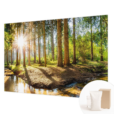 Modern wall mural for bedroom Forest idyll